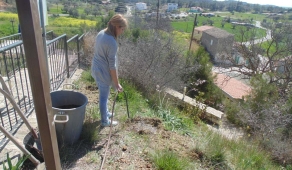 Δεντροφύτευση-Planting 5.3.2017